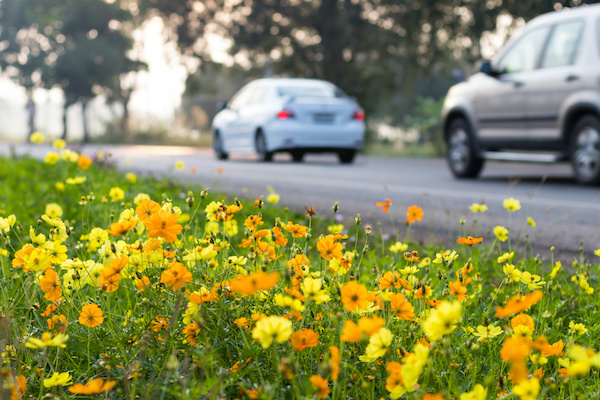 Get Your Car Ready for Spring!